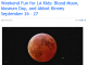“We moon you” 이 문장의 뜻을 아세요?