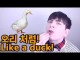 자주 헷갈리는 영어 단어 발음들