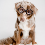 ‘Nerd’는 ‘찐따’라는 뜻일까요?