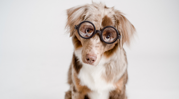 ‘Nerd’는 ‘찐따’라는 뜻일까요?