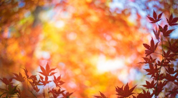 청명한 가을 날씨를 표현하는 영어